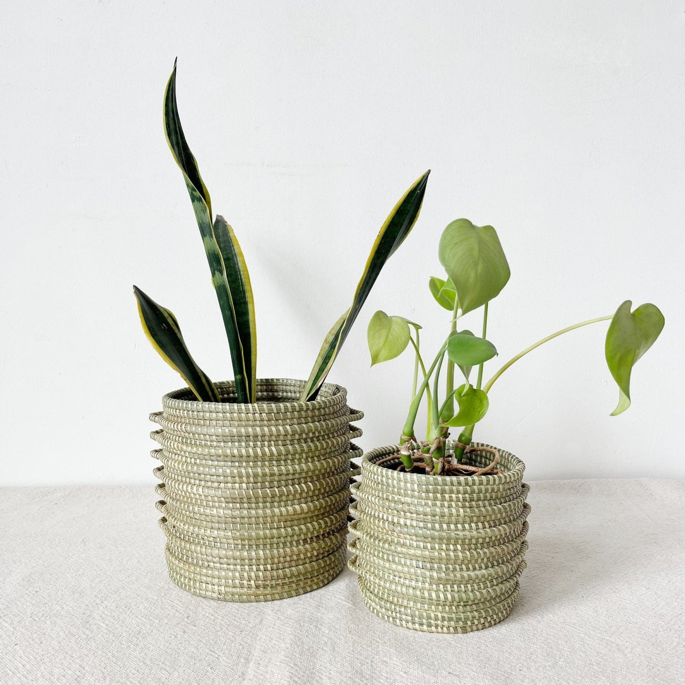 Kupanua Sweetgrass Planters