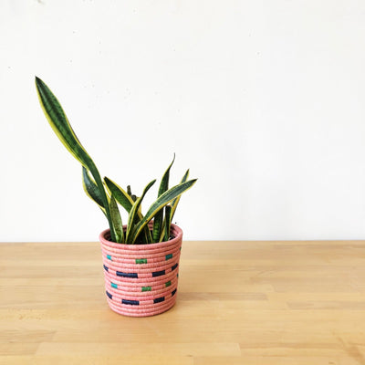 Mabamba Basket Planter - Amsha