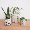 Maraba Planter Baskets - Amsha