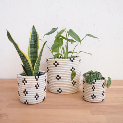 Maraba Planter Baskets - Amsha