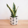 Maraba Planter Baskets - Amsha