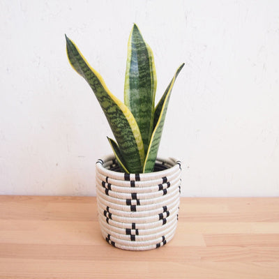 Maraba Planter Baskets - Amsha
