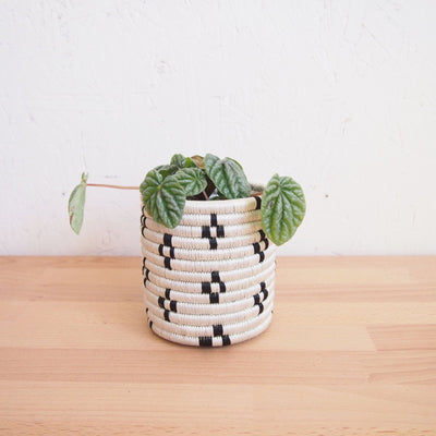 Maraba Planter Baskets - Amsha