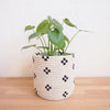 Maraba Planter Baskets - Amsha