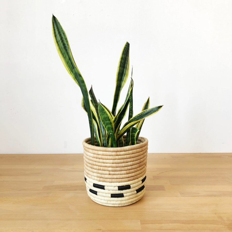 Mazuru Basket Planter - Amsha