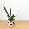 Mirango Basket Planter - Amsha