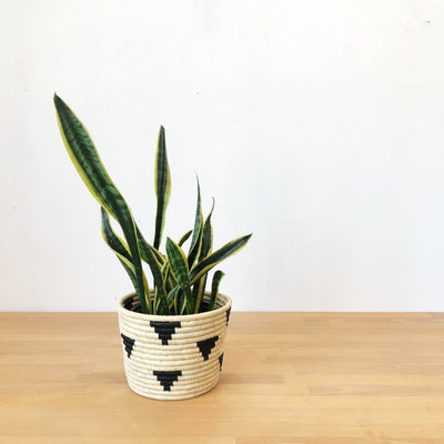 Mirango Basket Planter - Amsha