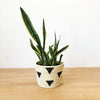 Mirango Basket Planter - Amsha