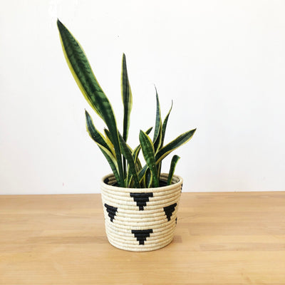Mirango Basket Planter - Amsha