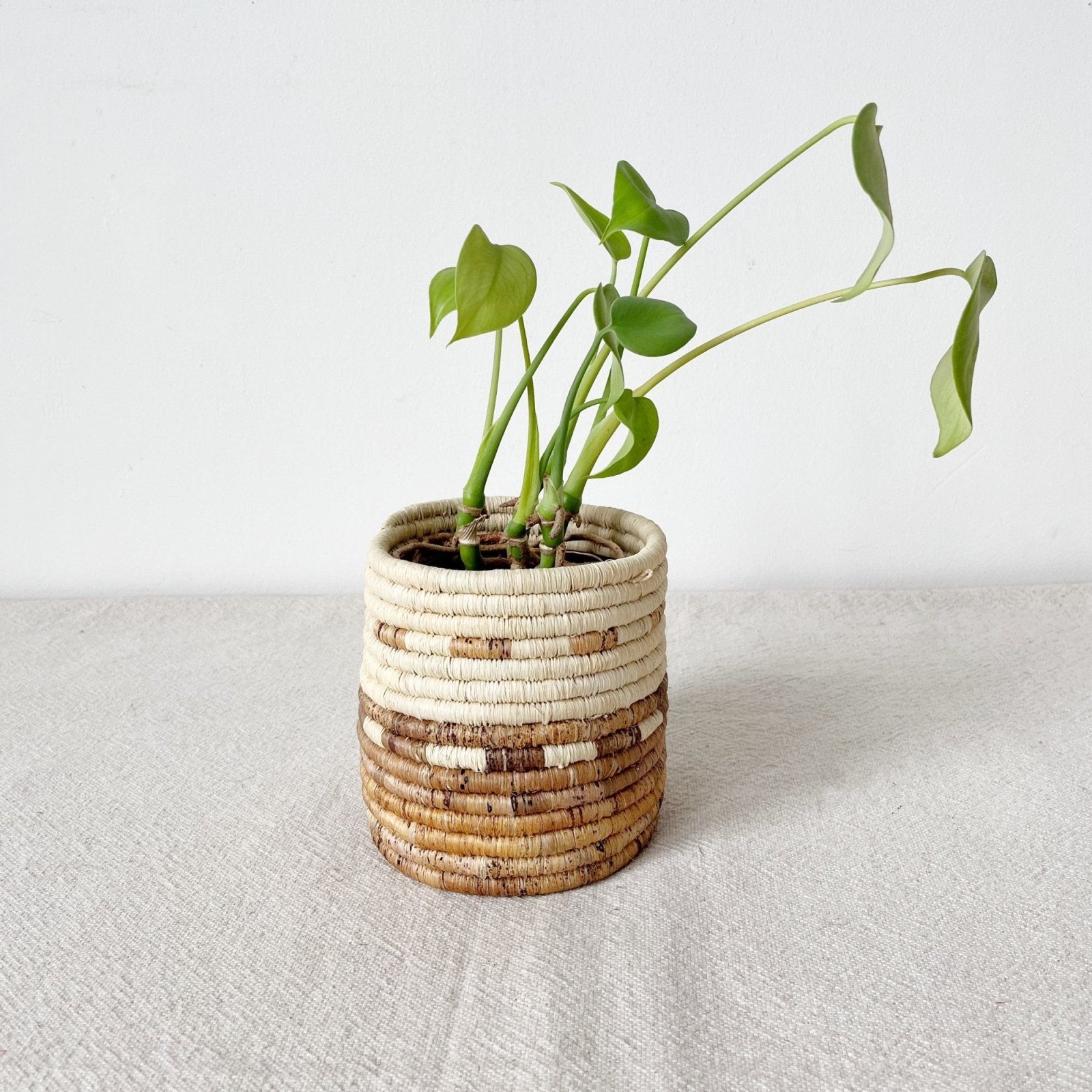 basket planters for indoor plants Mkongo Planter Baskets