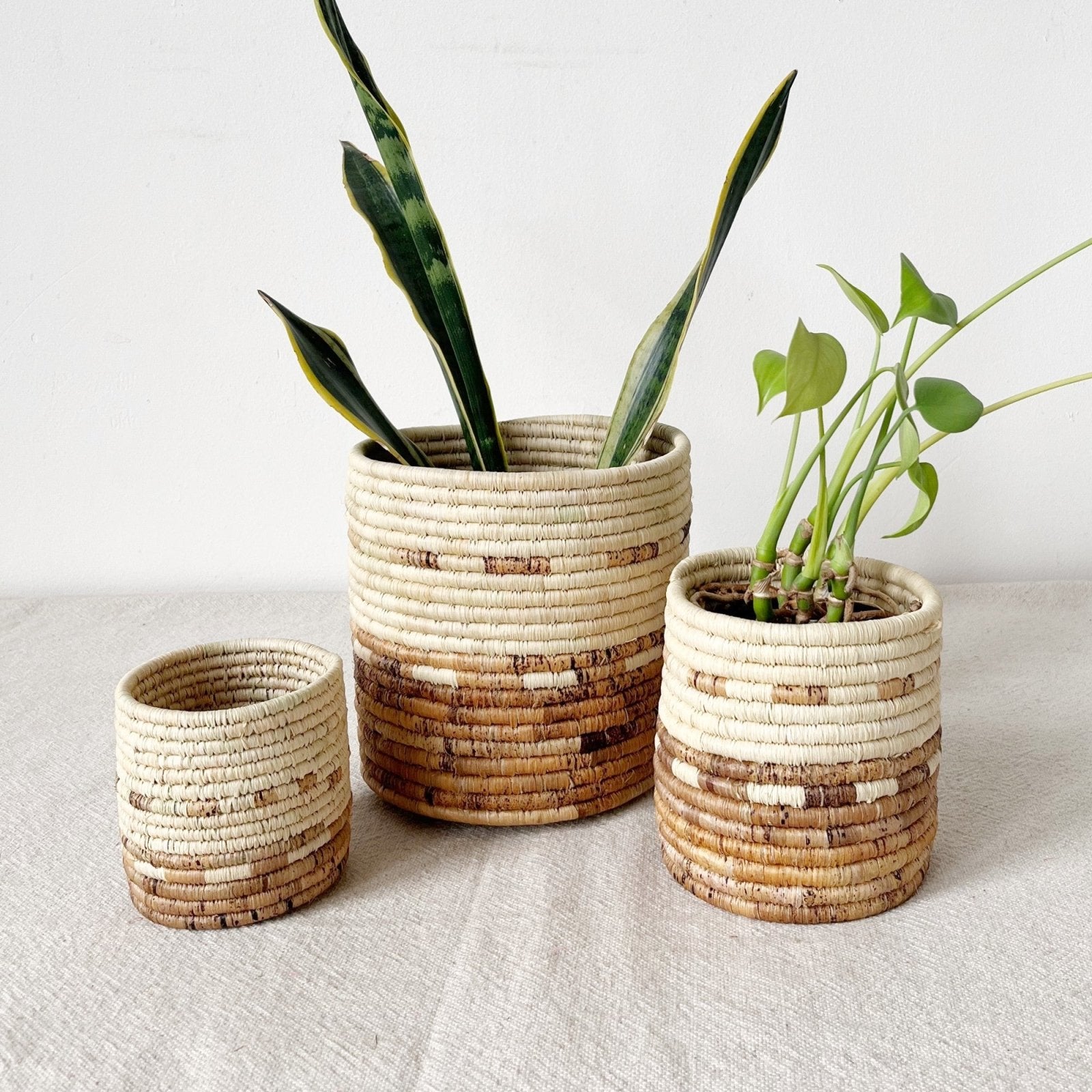 Mkongo Planter Baskets - Amsha