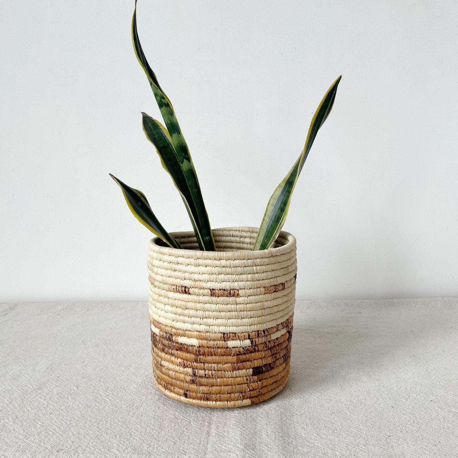 Mkongo Planter Baskets - Amsha