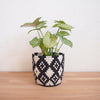 Ndora Planter Baskets - Amsha