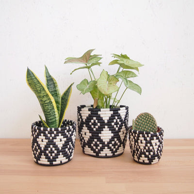 Ndora Planter Baskets - Amsha