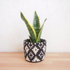 Ndora Planter Baskets - Amsha