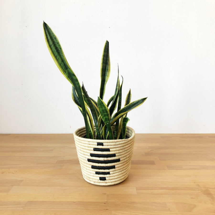 Nsyo Basket Planter - Amsha