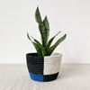 Plant Basket: EC007 - Amsha