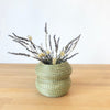 Prairie Vase Collection - Amsha