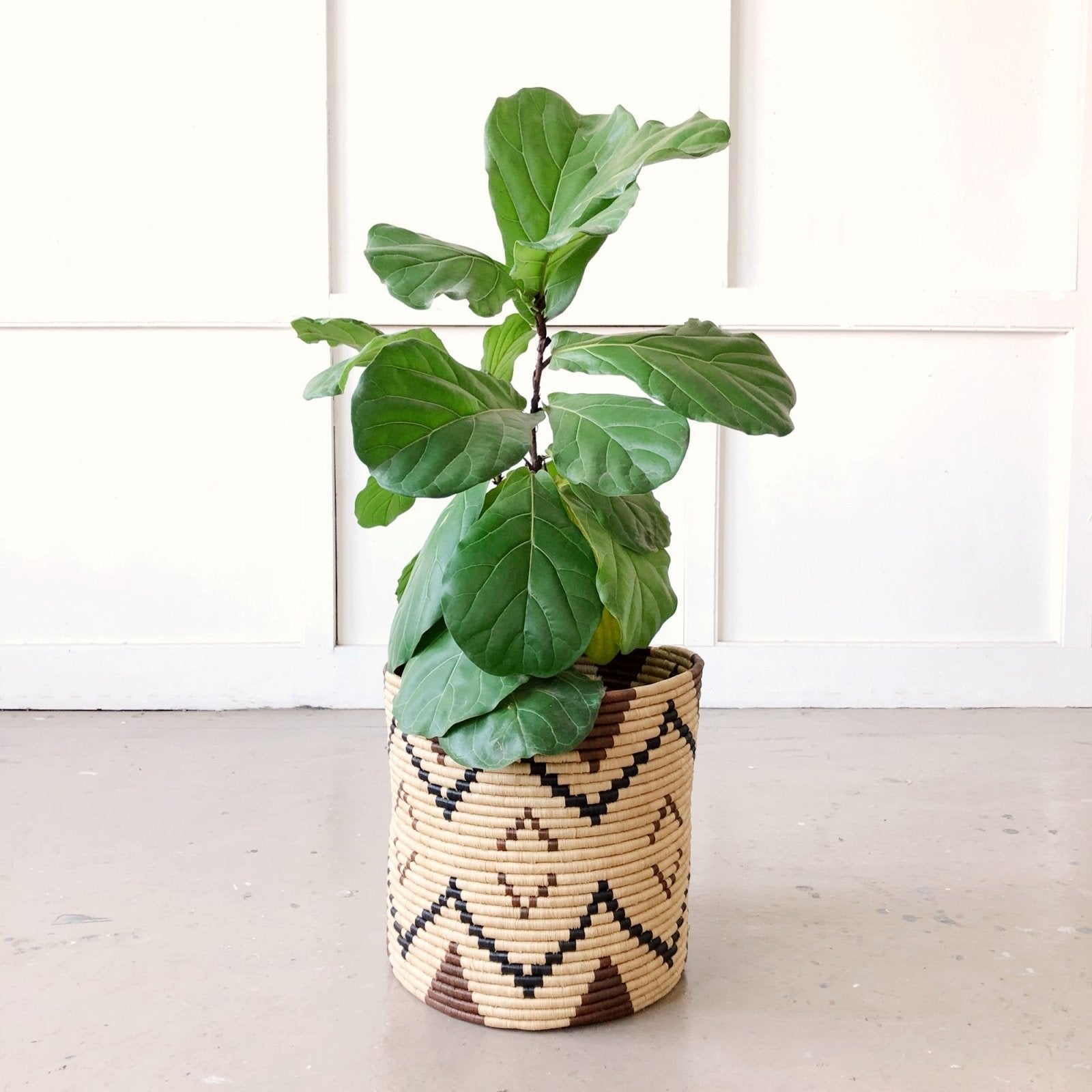 Ruzizi Storage Basket - Amsha