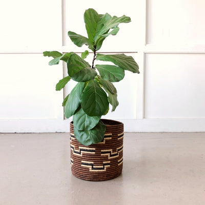 Shakani Storage Basket - Amsha
