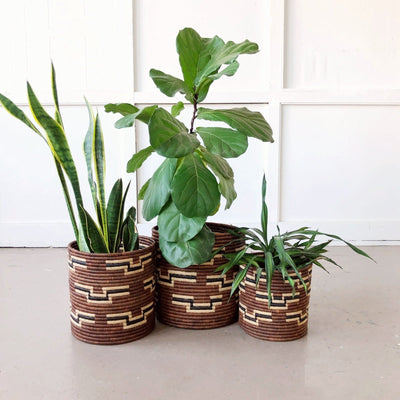 Shakani Storage Basket - Amsha