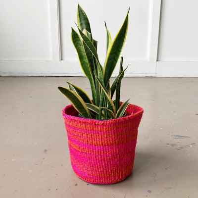 Small Storage Basket: Hibiscus - Amsha