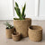 Storage Plant Basket: Acorn
