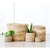 Storage Plant Basket: Banana Leaf