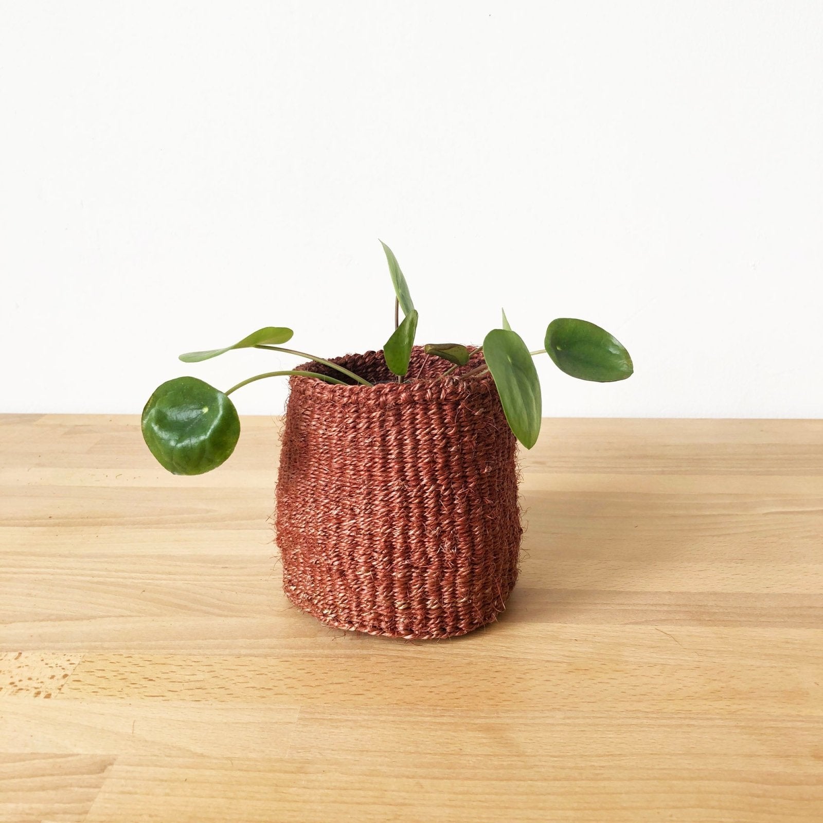 Storage Basket: Canyon - Amsha