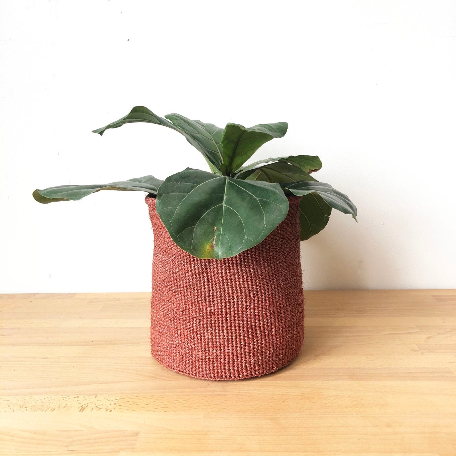 Storage Basket: Canyon - Amsha