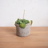 Storage Basket: Cliffs - Amsha
