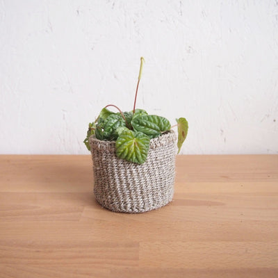 Storage Basket: Cliffs - Amsha