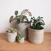 Storage Basket: Cliffs - Amsha