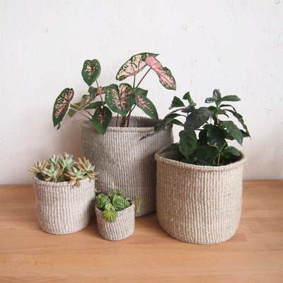 Storage Basket: Cliffs - Amsha