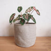 Storage Basket: Cliffs - Amsha