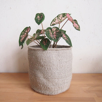 Storage Basket: Cliffs - Amsha