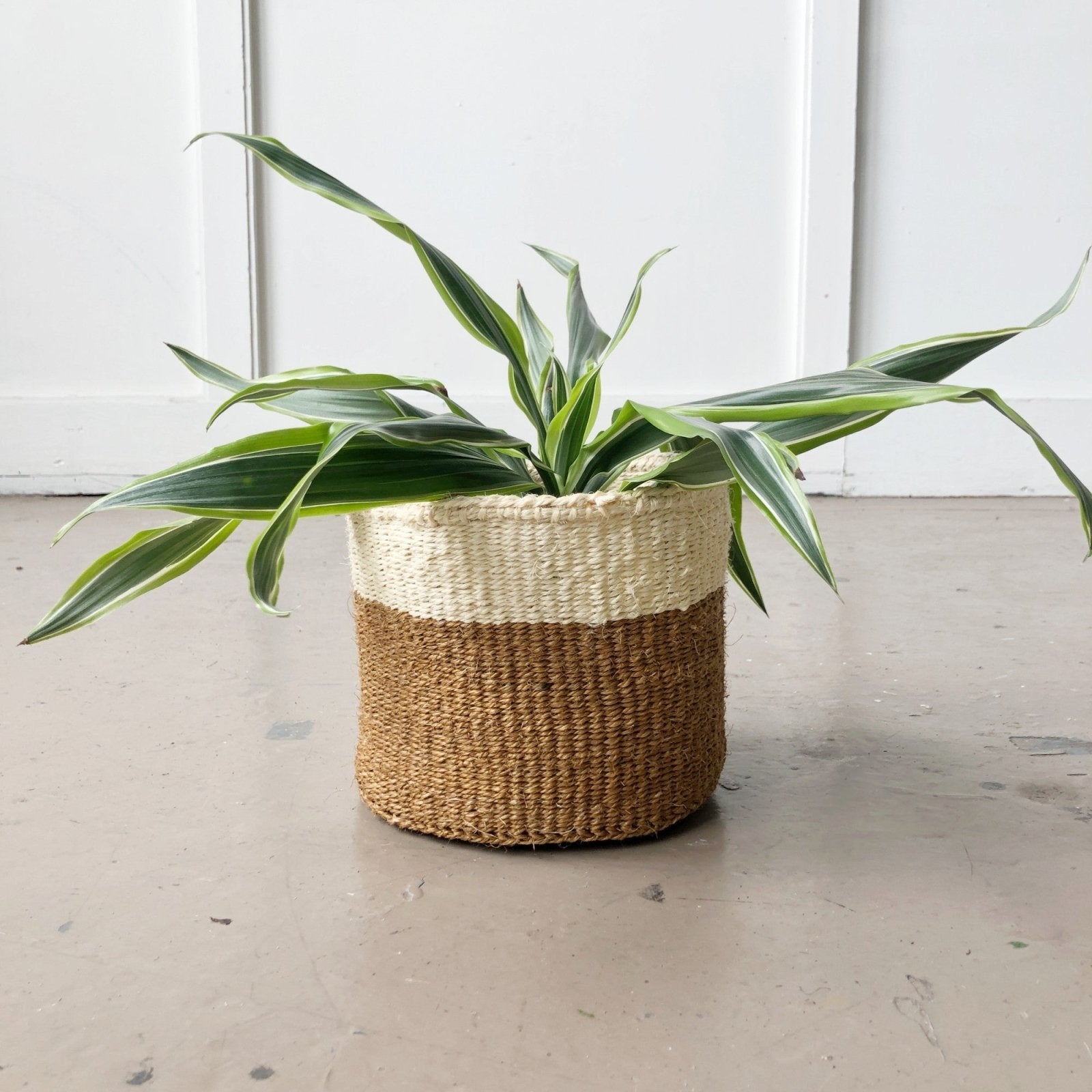 Storage Basket: Coconut - Amsha