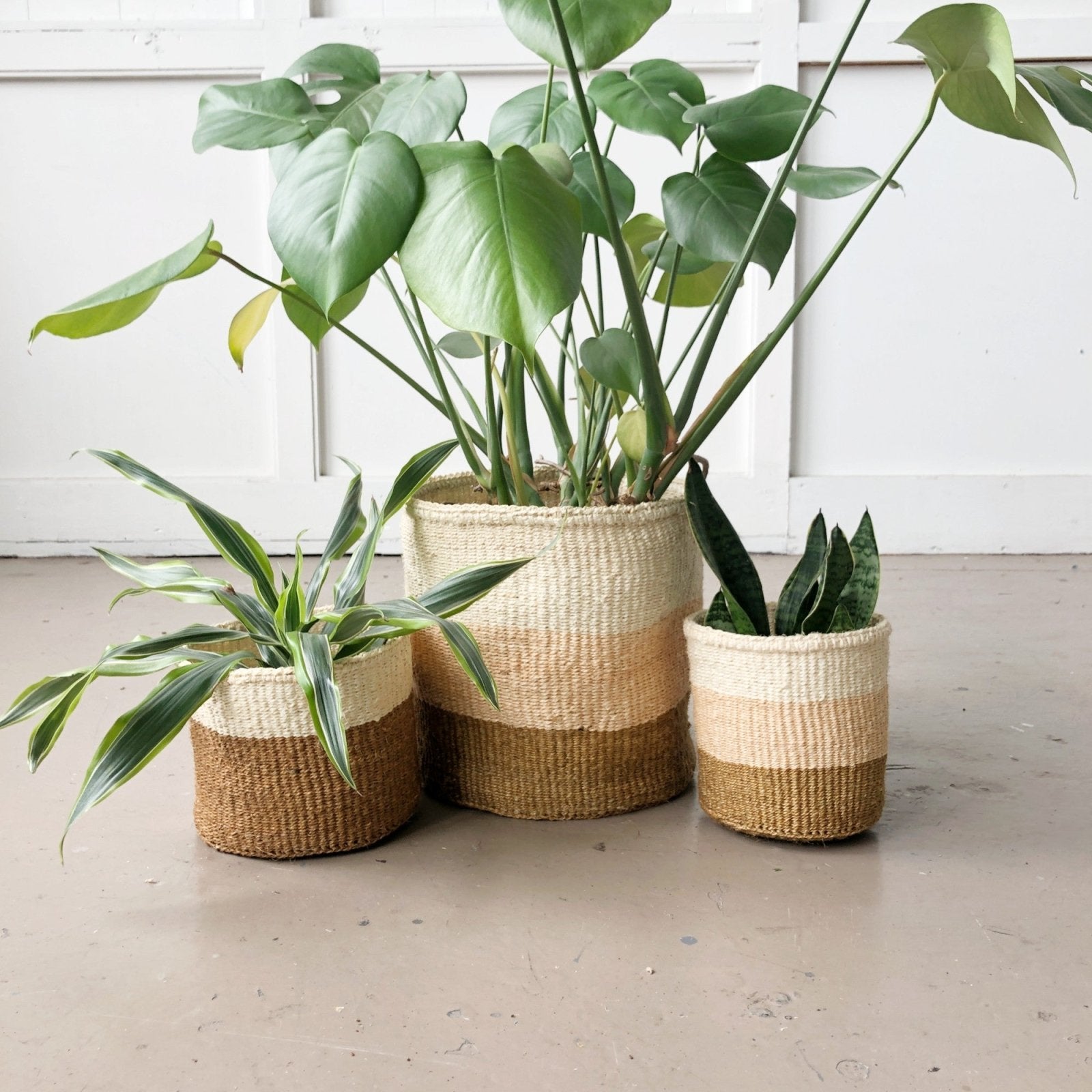 Storage Basket: Coconut - Amsha