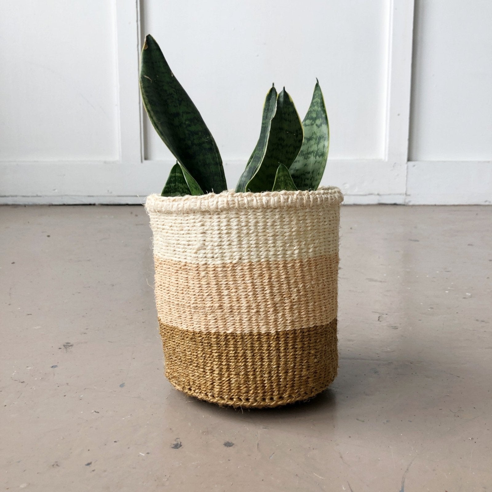 Storage Basket: Coconut - Amsha