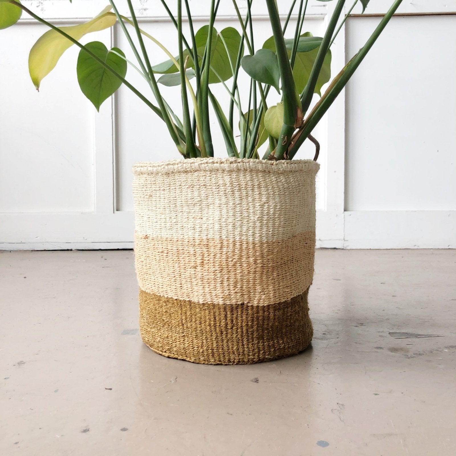 Storage Basket: Coconut - Amsha