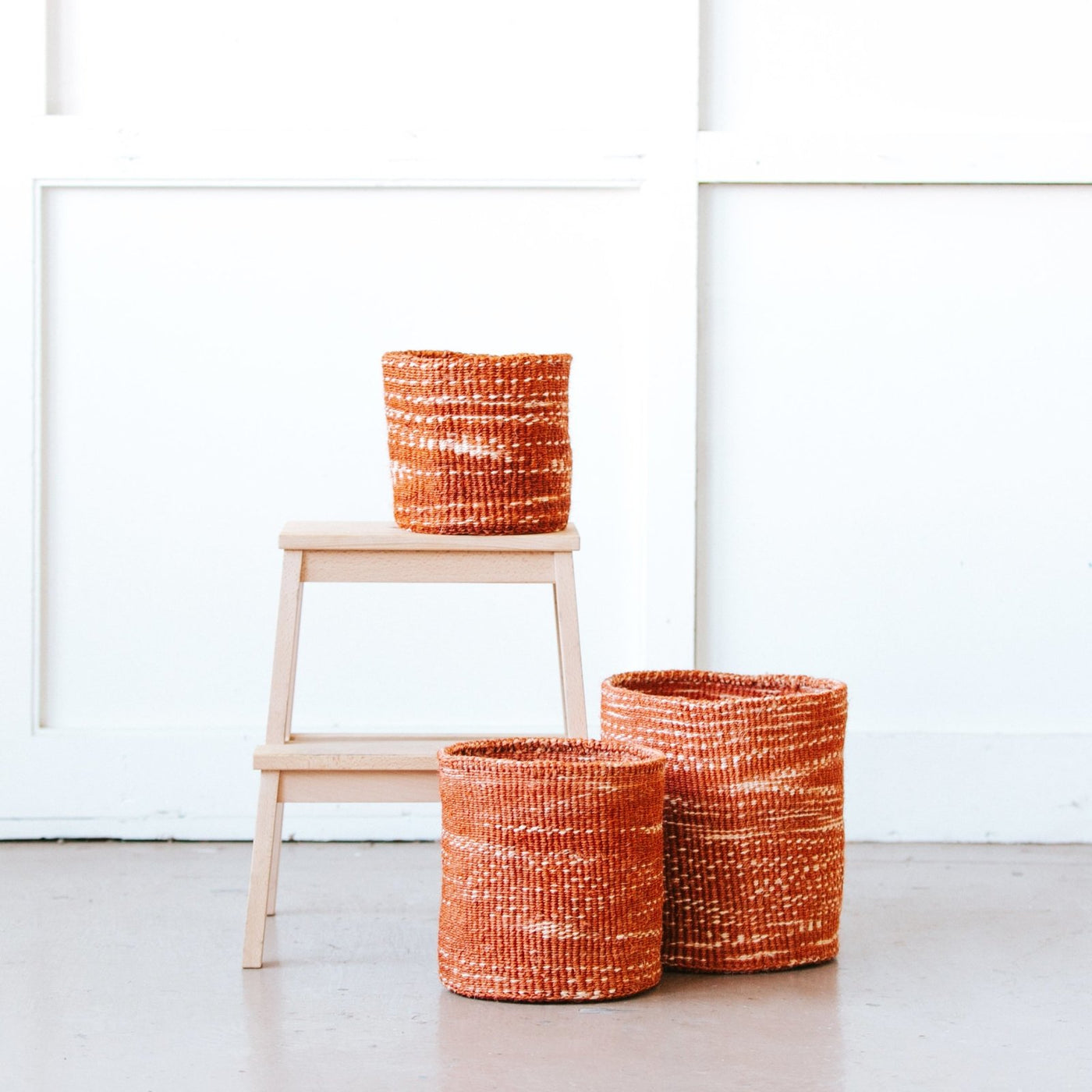 Storage Plant Basket: Constellation