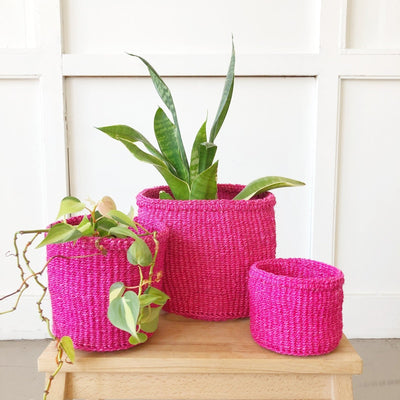 Storage Basket: Flamingo - Amsha