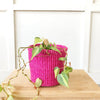 Storage Basket: Flamingo - Amsha