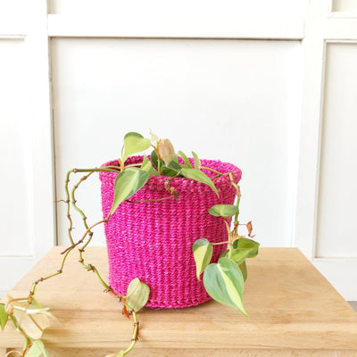 Storage Basket: Flamingo - Amsha
