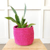 Storage Basket: Flamingo - Amsha