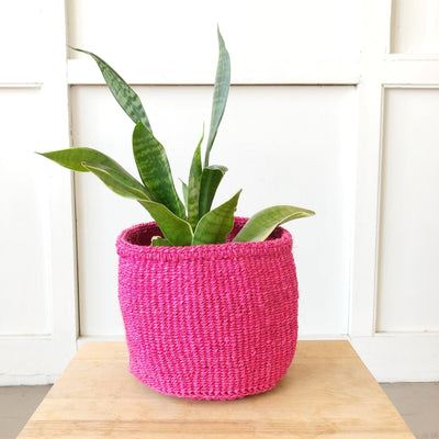 Storage Basket: Flamingo - Amsha