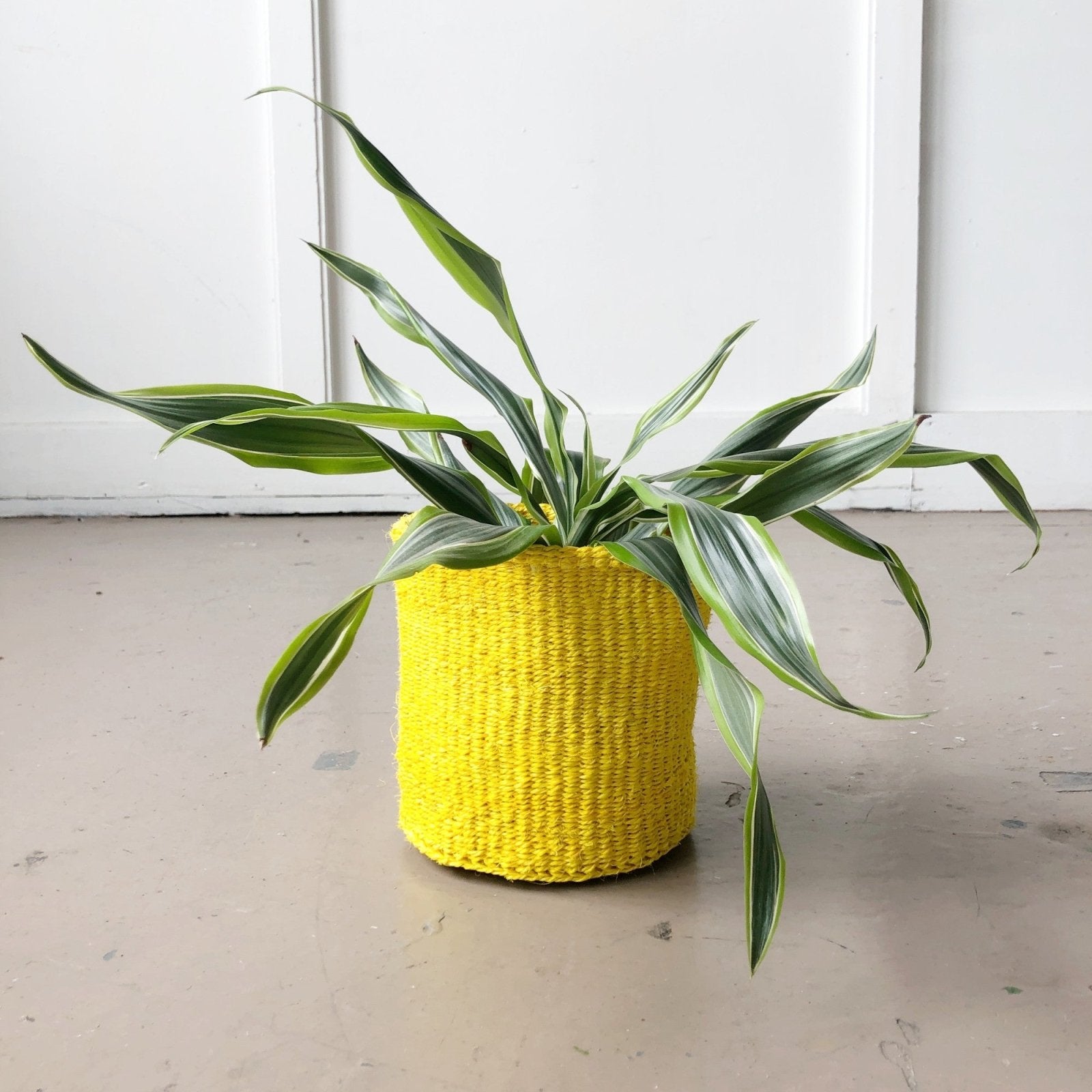 Storage Basket: Lemon Zest - Amsha