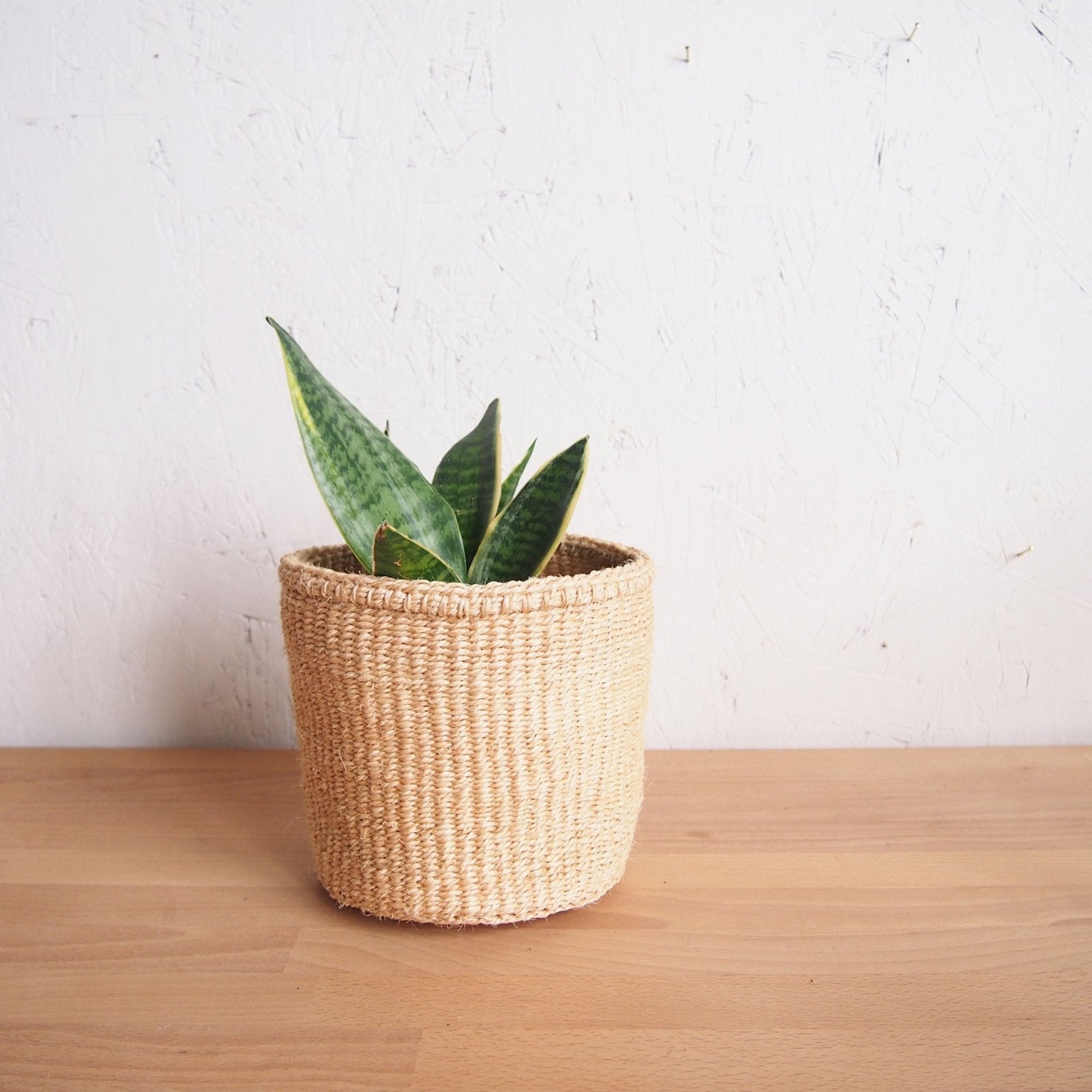 Storage Basket: Oats - Amsha