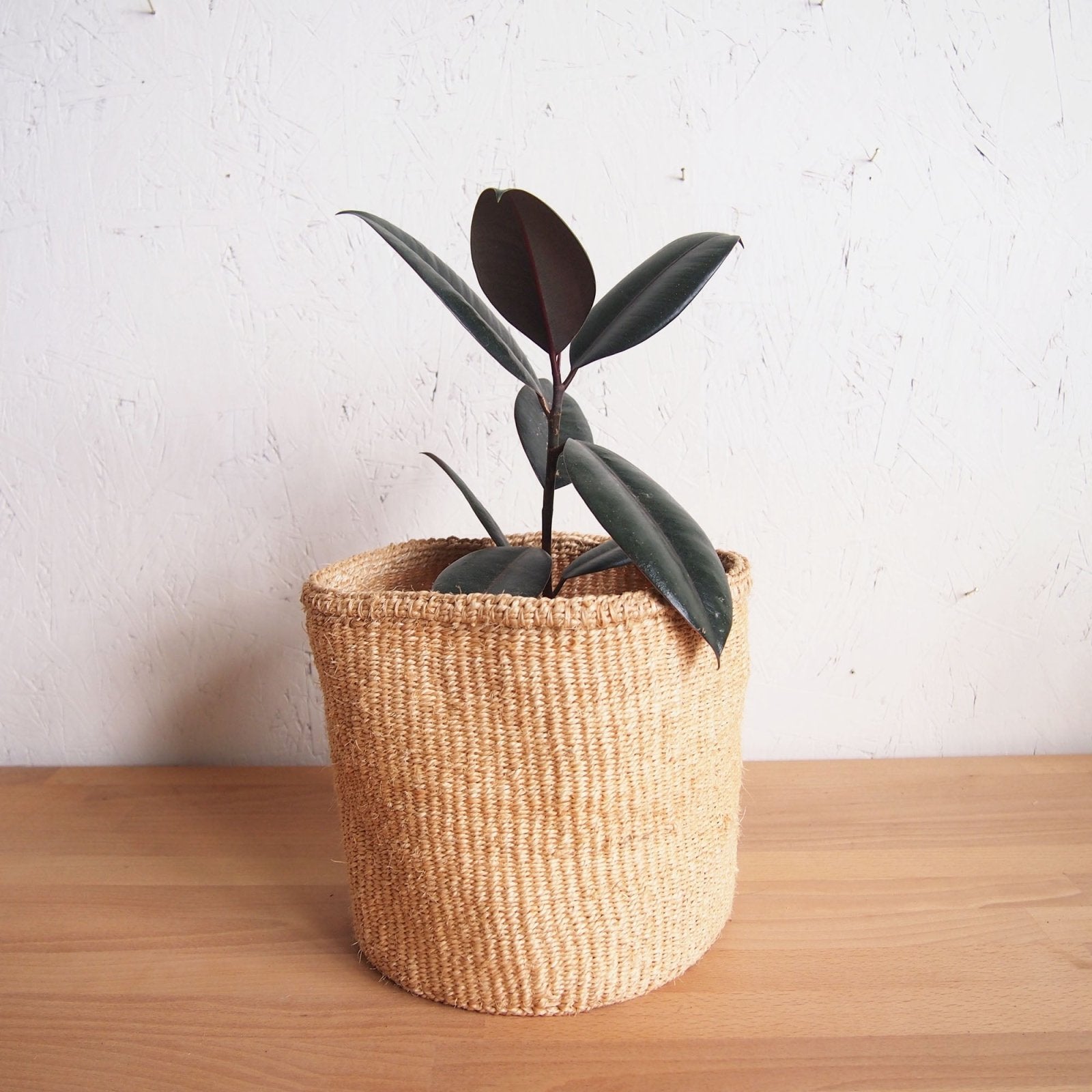 Storage Basket: Oats - Amsha