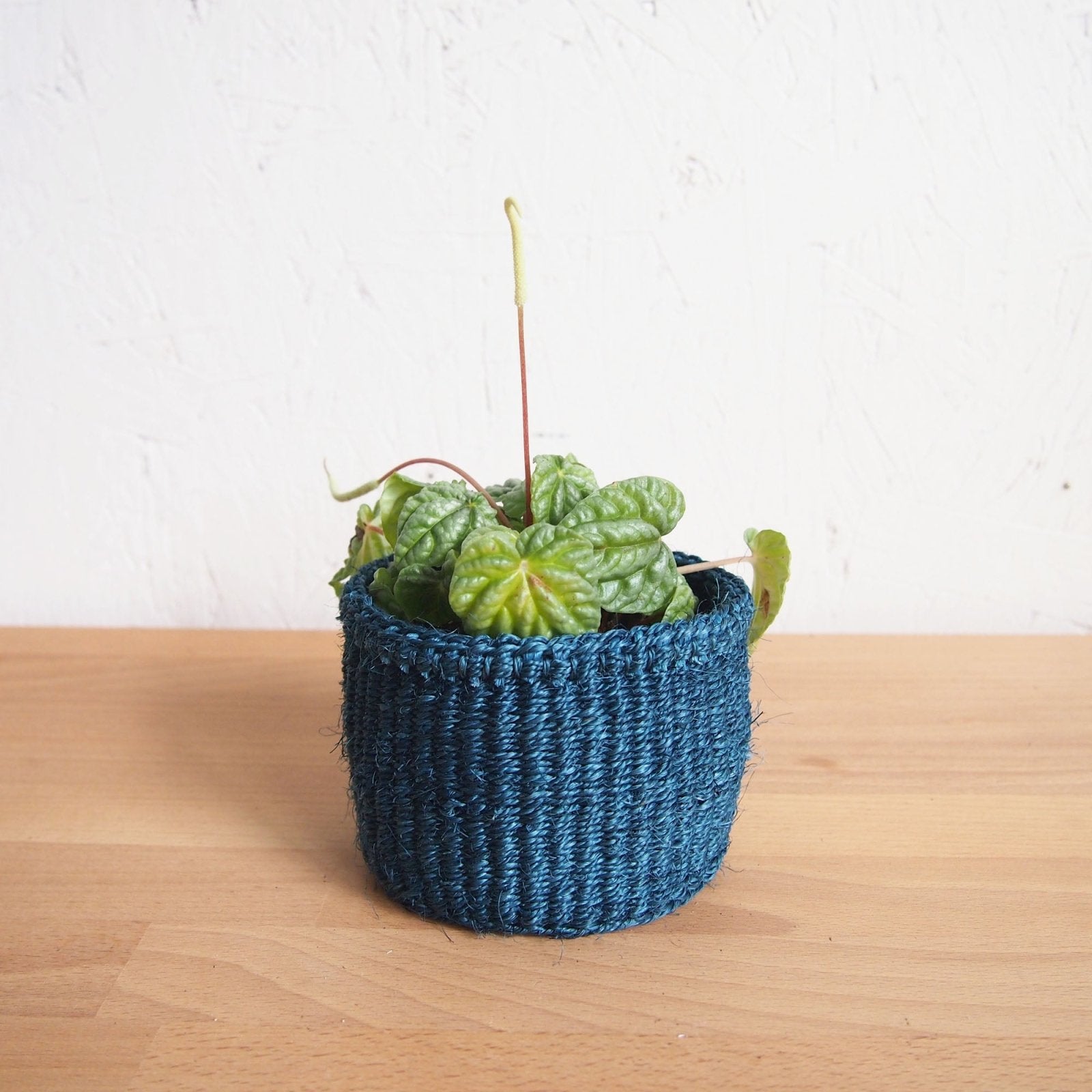 Storage Basket: Ocean - Amsha